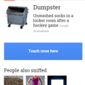 google nose