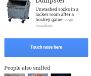 google nose