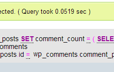 wp update comment_count